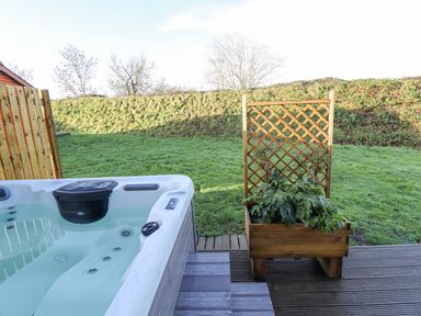 An outdoor hot tub next to a wooden planter with greenery on a deck with grass and trees in the background at Lodge 7 in South Hykeham