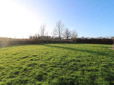 A garden with grass and trees at Lodge 7 South Hykeham