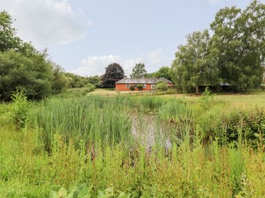 A pond with tall grass surrounded by trees and shrubs with a brick building in the background at The Brambles in Polstead