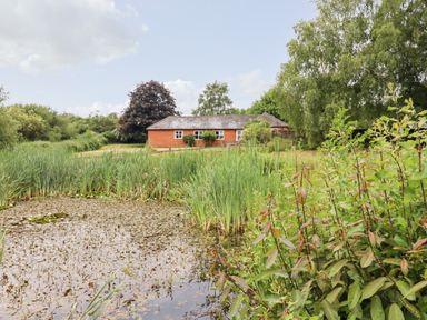 A pond with tall grass and plants in front of a single story brick house surrounded by trees at The Brambles in Polstead