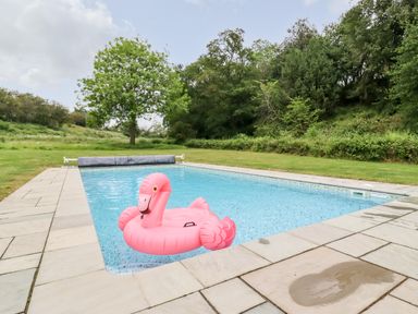 An outdoor swimming pool with a pink inflatable flamingo floating inside surrounded by stone tiles and grass with trees in the background at The Brambles in Polstead