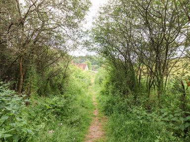 A narrow dirt path surrounded by tall grass and trees leading to a house in the distance at The Brambles in Polstead