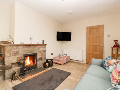 A living room with a stone fireplace a mounted TV a patterned ottoman and a light blue sofa at Palace Bungalow in St Weonards