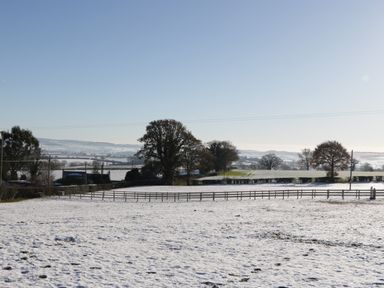 A snow covered field with trees and fences in the background at Palace Bungalow in St Weonards