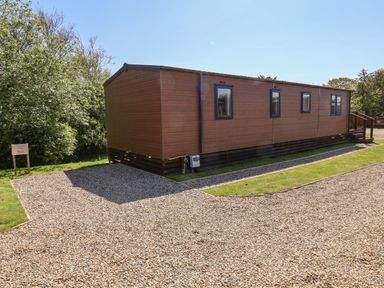 A brown mobile home on gravel driveway with grass and trees around at Primrose Lodge in Runswick Bay near Staithes