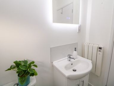 A bathroom sink with a soap dispenser and a green plant on a countertop at Harry's Lodge in Ashover