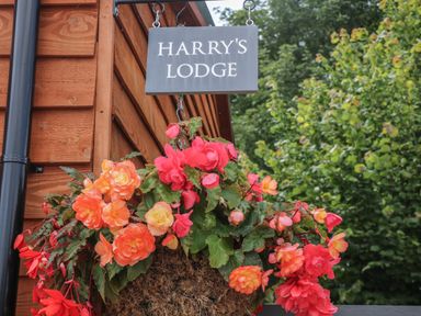 A wooden exterior wall with a sign that reads Harry's Lodge and a hanging basket of flowers in front of green trees at Harry's Lodge in Ashover