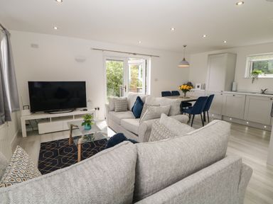 An open plan living room and kitchen with grey sofas a TV and dining table with blue chairs at Harry's Lodge in Ashover