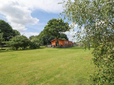 A wooden lodge surrounded by trees and grass at Harry's Lodge in Ashover