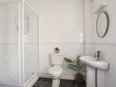 A bathroom with a shower cabin toilet and sink with a round mirror and plants at Ynys Faelog Cottage Ynys Faelog near Menai Bridge