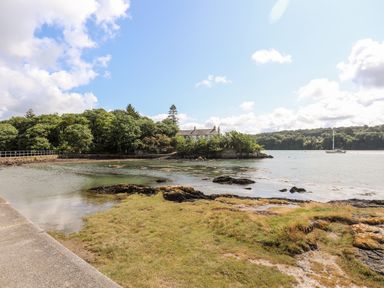 A shoreline with grass rocks and water with trees and a house in the background at Ynys Faelog Cottage in Ynys Faelog near Menai Bridge