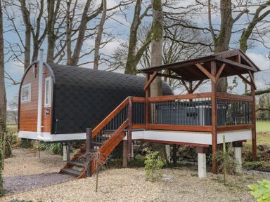 A small wooden cabin with black roof shingles on stilts next to a wooden deck with railing and stairs in a wooded outdoor area at Pine in Dungiven Londonderry
