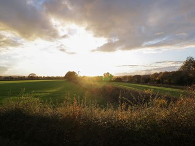 A field with grass and bushes under a cloudy sky at sunset at Upper Annex in Quemerford