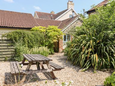 An outdoor garden area with a wooden picnic table surrounded by plants and a path leading to a house at The Calf Pen in Colyton
