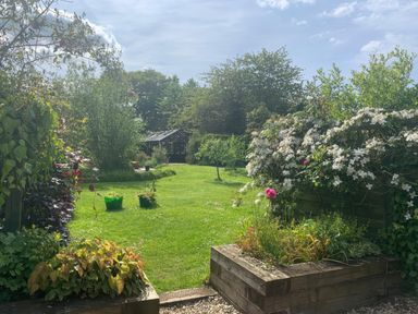 A garden with grass lawn plants raised wooden beds and a glass greenhouse in the background at The Calf Pen in Colyton