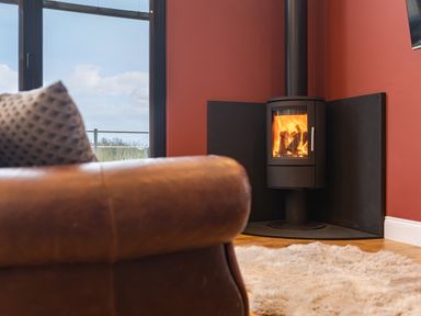 A room with a leather chair a patterned cushion a burning fireplace and a fluffy rug at Stags Mount in Thornton Dale