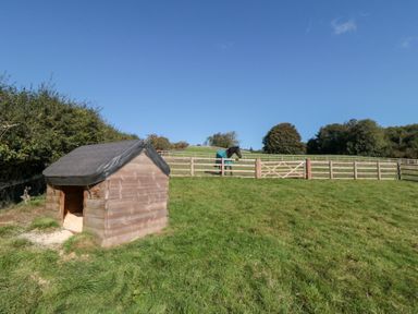 A shed with a horse in the background at Stags Mount in Thornton Dale