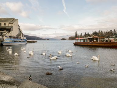 A lake with swans and birds near boats and a building at Scandale Bridge Cottage in Ambleside