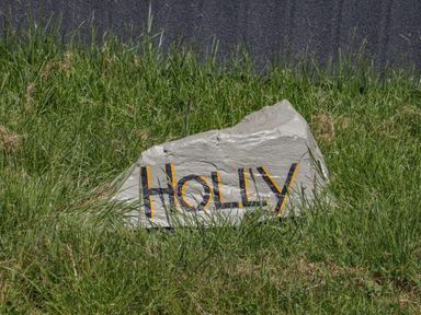 A rock painted with the word Holly placed on grass at Holly in Ulverston