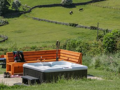 An outdoor hot tub next to a wooden bench with a dog sitting on it and glasses on the bench at Holly in Ulverston