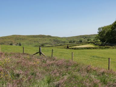 A rural field with grass and wildflowers a fence and hills in the background at Holly in Ulverston