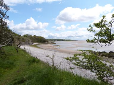 A coastal landscape with a pebble beach grassy area and scattered trees under a partly cloudy sky at Holly in Ulverston