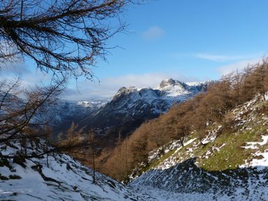 Snowy mountain landscape with bare trees on slopes under a clear blue sky at Holly in Ulverston