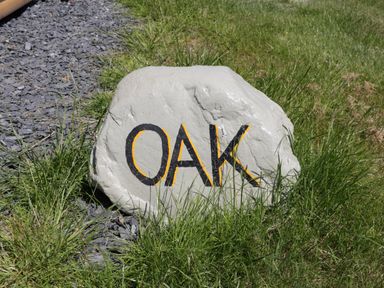 A painted rock with the word OAK on grass near gravel at Oak in Ulverston