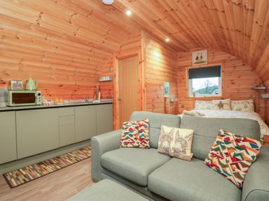A snug with a sofa and kitchen area at Rowan in Ulverston