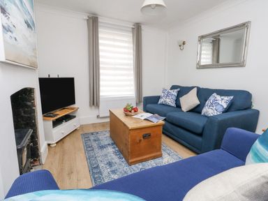 A living room with a blue sofa and armchair a wooden chest as a coffee table a television on a stand a rug on the floor and a mirror on the wall at Day Cottage in Weymouth