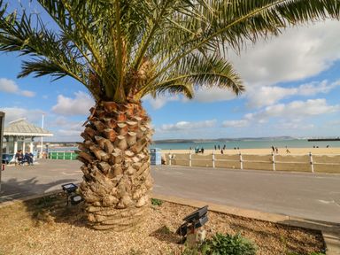 A palm tree on a promenade next to a beach with people walking and the sea in the background at Day Cottage in Weymouth