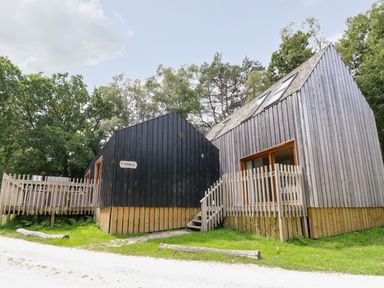 Two wooden cabins with stairs and fencing surrounded by trees at Lodge 6 in Corfe Castle