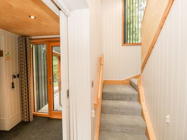A staircase with carpet leading up and a glass door with curtains opening to an outdoor area at Lodge 6 in Corfe Castle