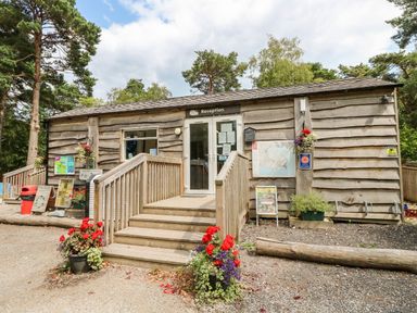 A wooden reception building with steps and flower pots outside at Lodge 6 in Corfe Castle