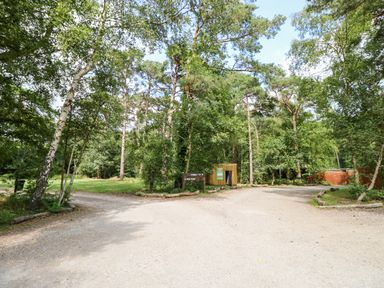 A forest area with a dirt road splitting into two paths and a wooden sign in the middle at Lodge 6 in Corfe Castle