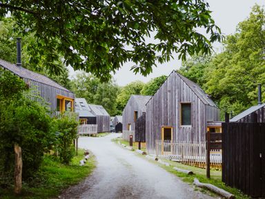 A gravel pathway with wooden houses on both sides and green trees in the background at Lodge 11 in Corfe Castle