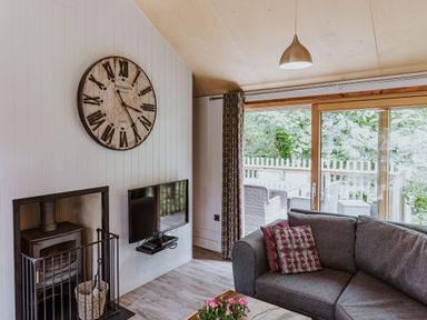 A living room with a wall clock sofa television and a fireplace next to sliding glass doors at Lodge 12 in Corfe Castle