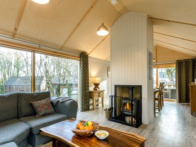 A living room with a sofa and fireplace at Lodge 16 Corfe Castle