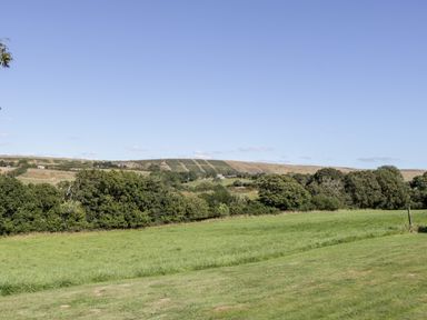 A grassy field with trees and hills under a clear sky at Lodge 17 in Corfe Castle