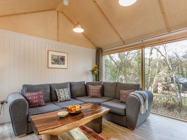 A living room with a sofa and coffee table at Lodge 17 in Corfe Castle