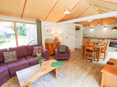 An open plan living and dining area with a purple sofa and chair wooden dining table and kitchen in Lodge 21 Corfe Castle