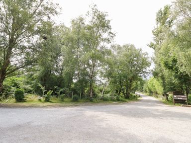 A gravel road leading into a wooded area with trees on both sides at Lodge 21 in Corfe Castle
