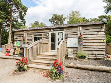 Exterior view of a wooden reception building with steps and flower pots at Lodge 21 in Corfe Castle