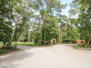 A gravel path intersection in a wooded area with trees and wooden signs at Lodge 21 in Corfe Castle
