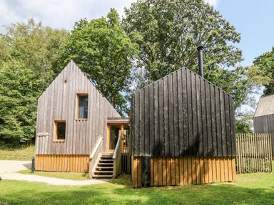 A wooden cabin with two connected sections and stairs in front surrounded by trees at Lodge 22 in Corfe Castle