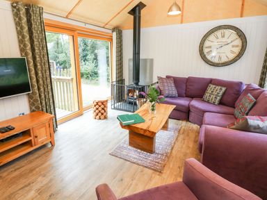 A living room with a wood burning stove purple sofas wooden coffee table and large clock on the wall at Lodge 22 in Corfe Castle