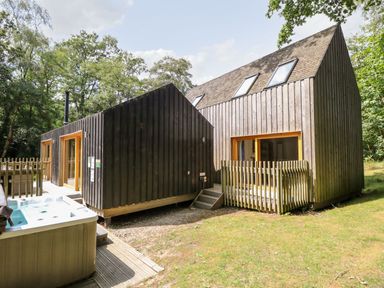 A wooden cabin with large windows and a hot tub outside surrounded by trees at Lodge 22 in Corfe Castle