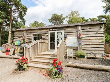A wooden building with a reception sign and flower pots at Lodge 22 in Corfe Castle