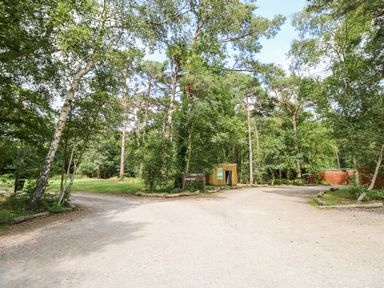 A forest path with trees and signage near a small wooden structure at Lodge 22 in Corfe Castle