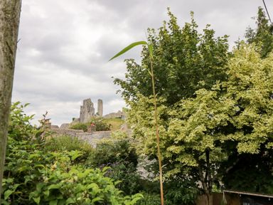 A garden with trees and bushes with rooftops and castle ruins in the background at Lodge 22 in Corfe Castle